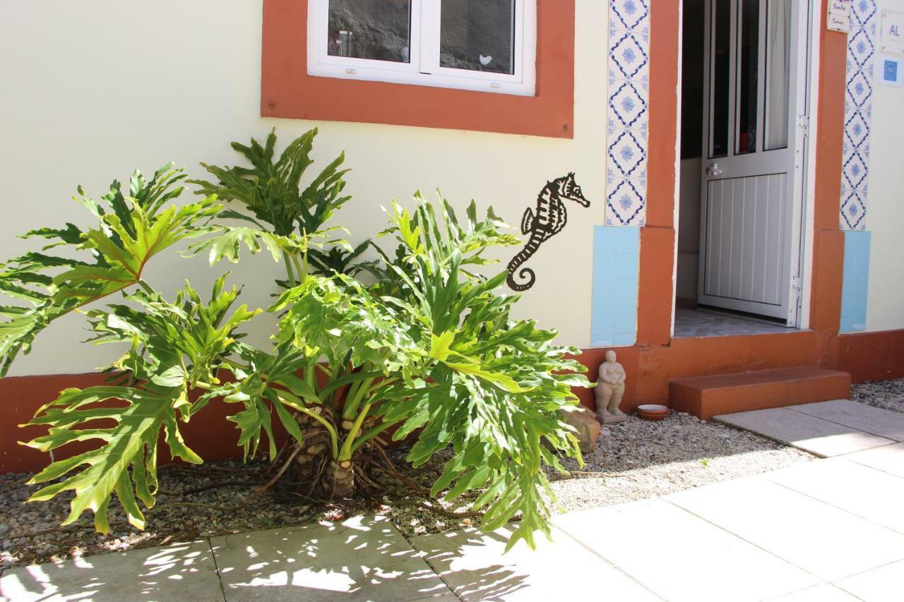 Acomodação com café da manhã  Casa O Futuro Alcobaça