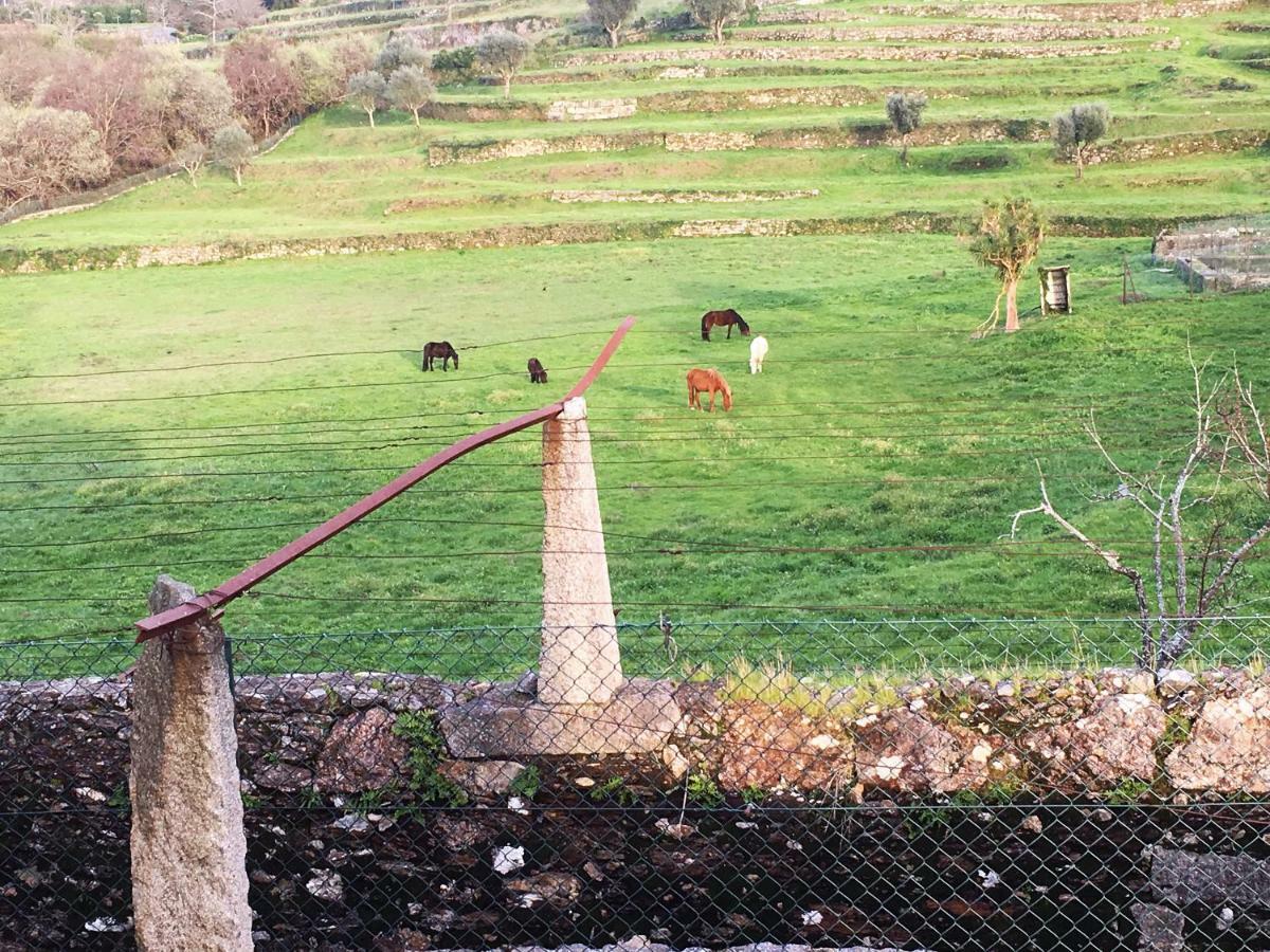 Country house Casas Da Loureira - Casa Da Piscina E Batatas Ii *