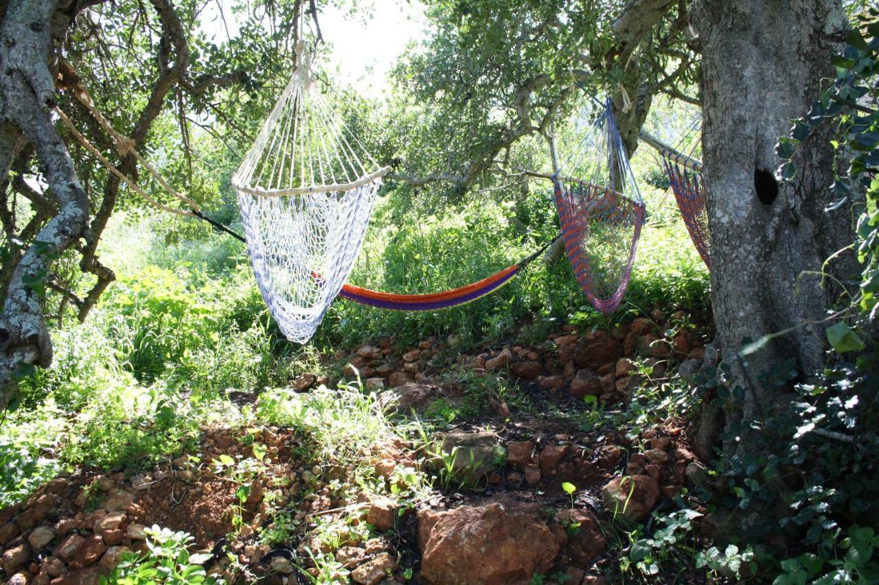 On The Hill Hostel *