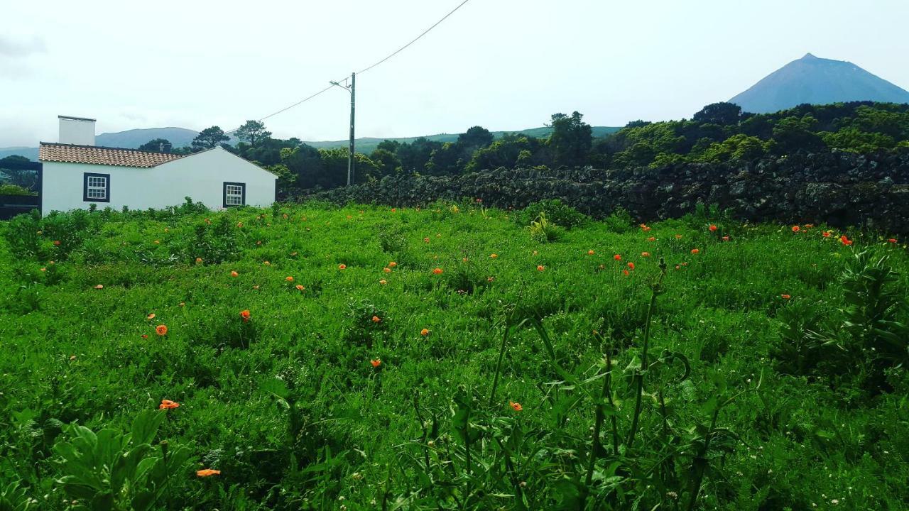 Casa Do Paim Sao Roque do Pico