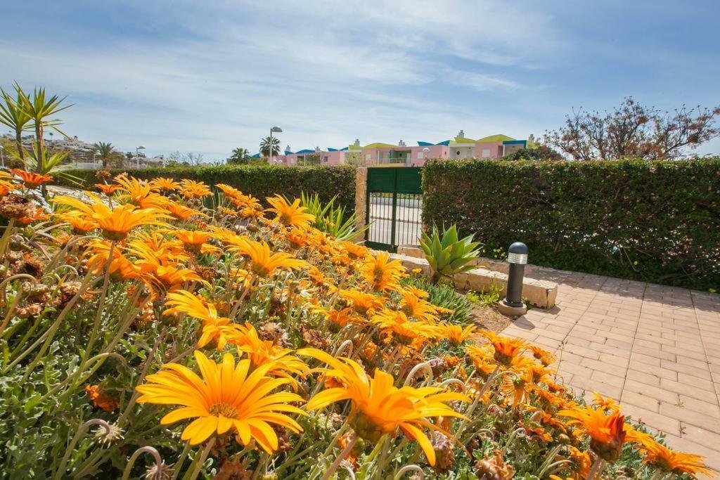 Marina Gold Apartamento
