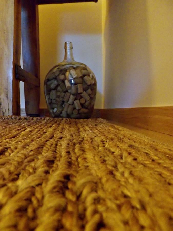 Apartamento Casa Máximo Penafiel