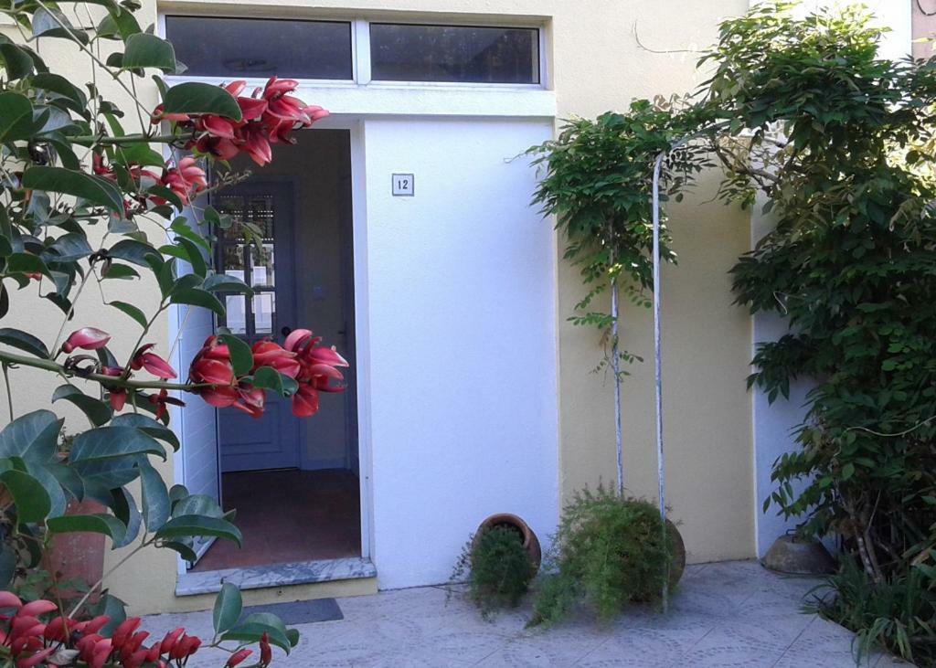 Holiday home Friends'house - Azores *