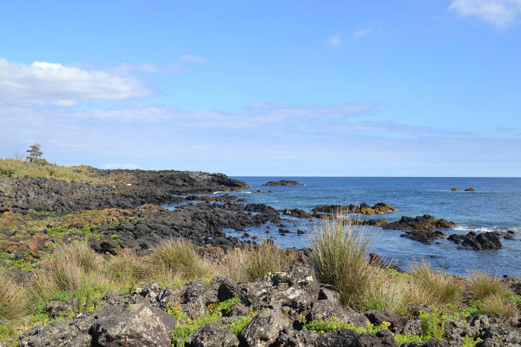 Friends'house - Azores Holiday home *
