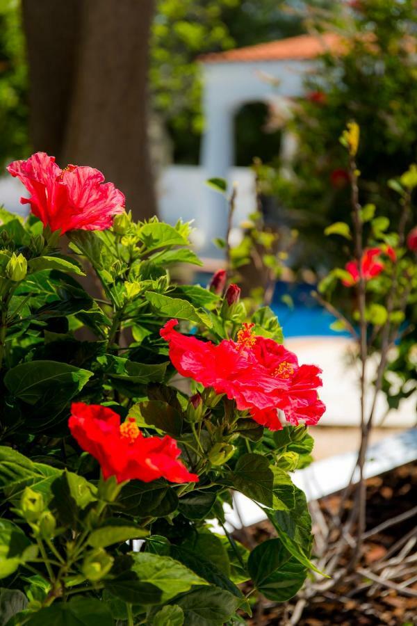 Casa Luisandra Boutique 3* Luz