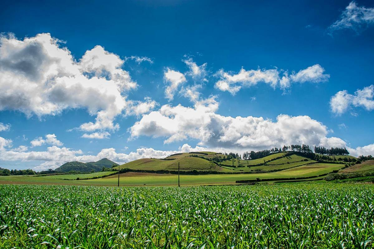 Azor Eco Apartamento Açores