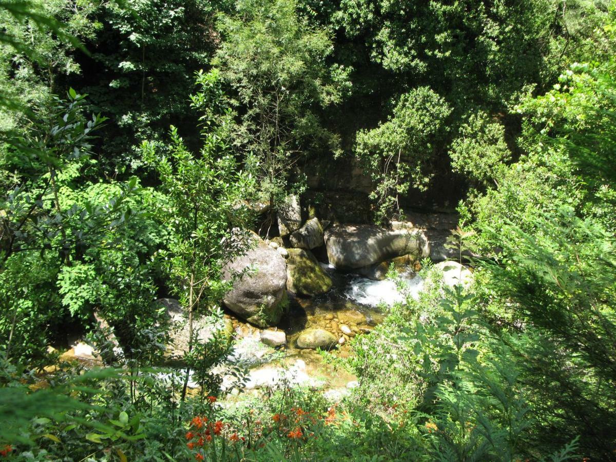 Camping Campismo Rural Vale Dos Moinhos