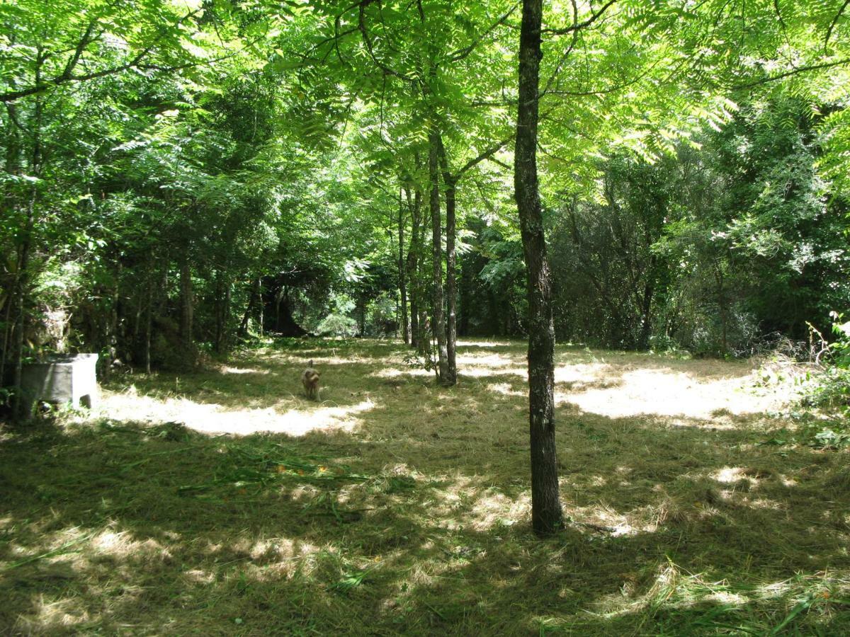 Campismo Rural Vale Dos Moinhos Geres