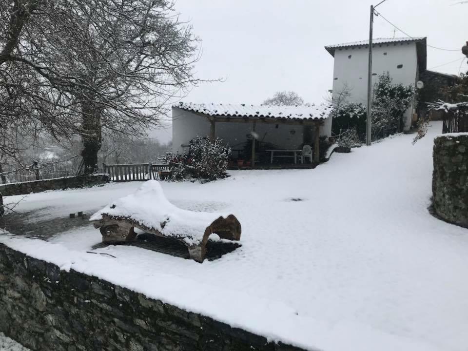 Casa Do Pomar * Bragança