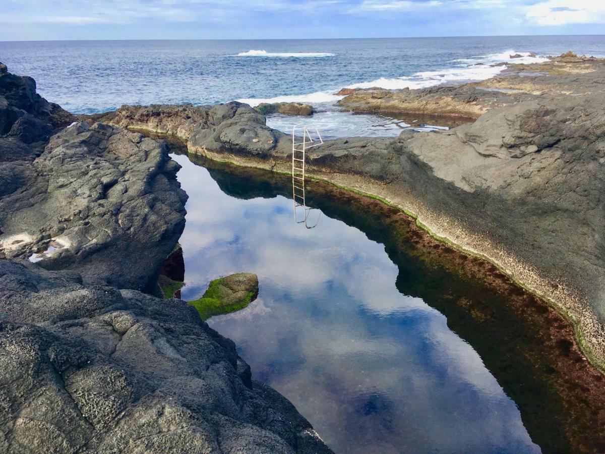 Sea Roots 