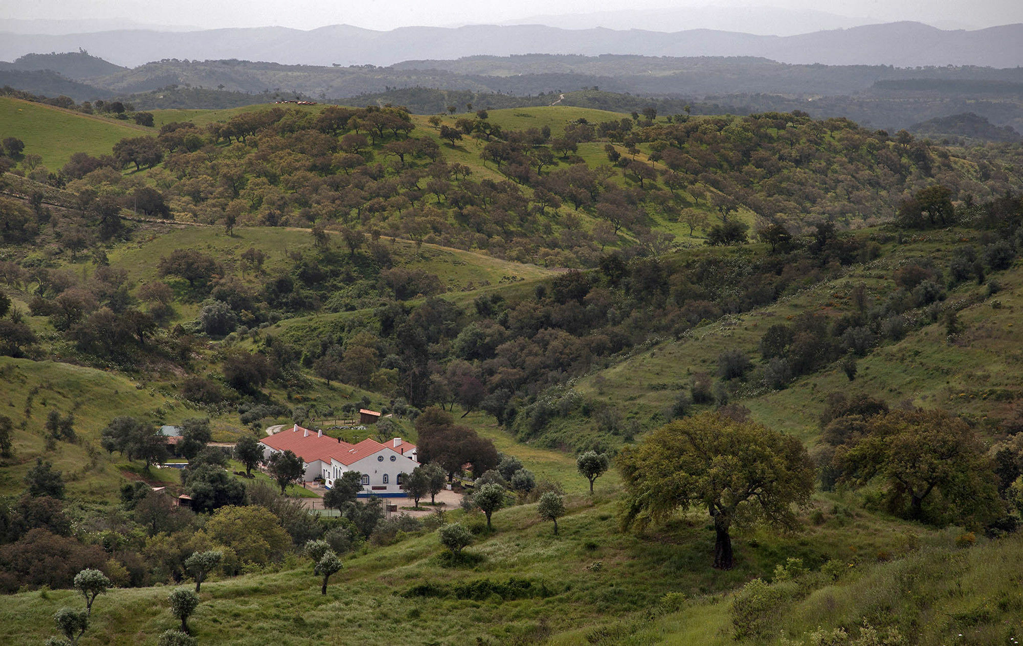 Quinta Do Chocalhinho & Landhuis Odemira