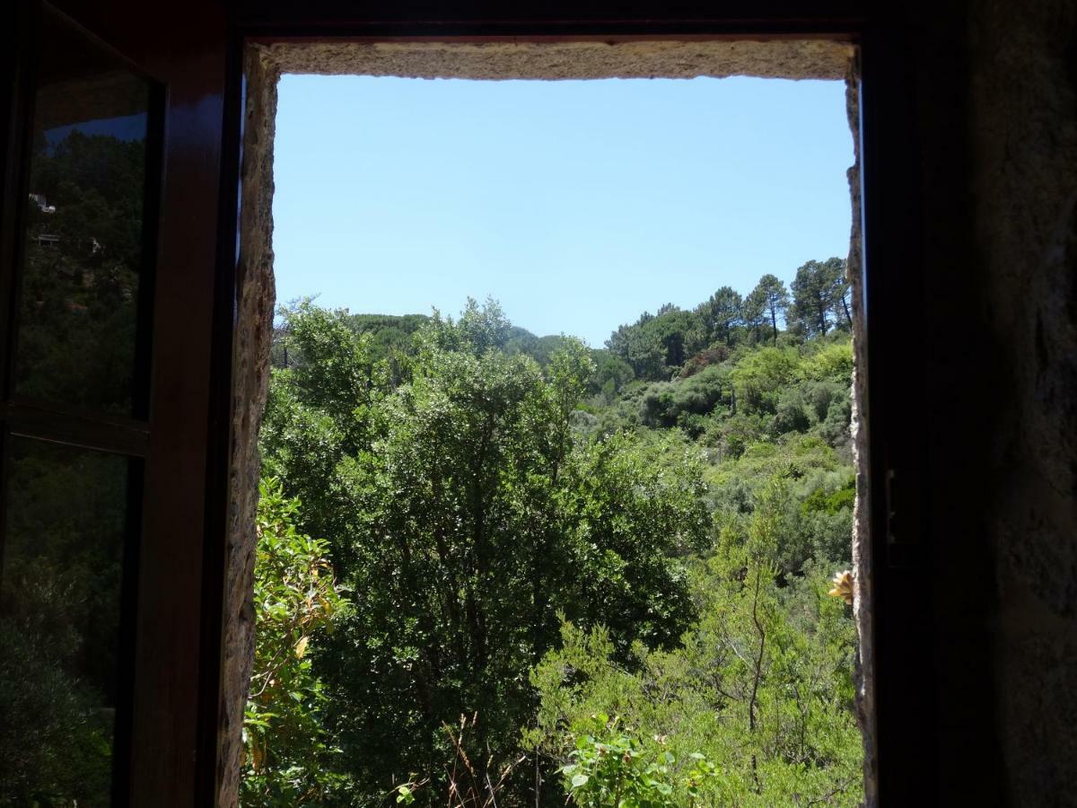 Country house My - Vina  - Ter Monchique