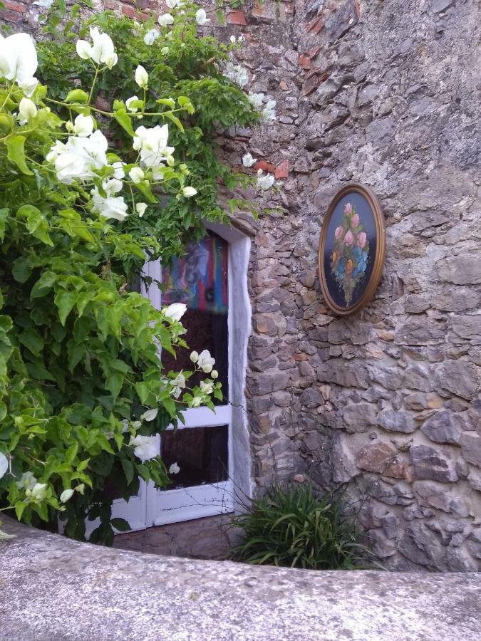 Margarida's Place