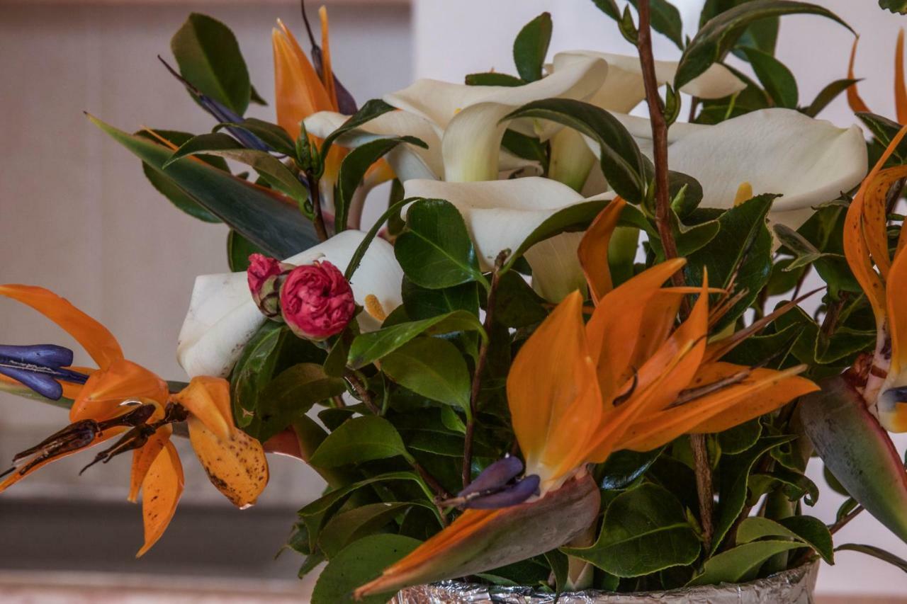 Quinta Do Norte Homestay