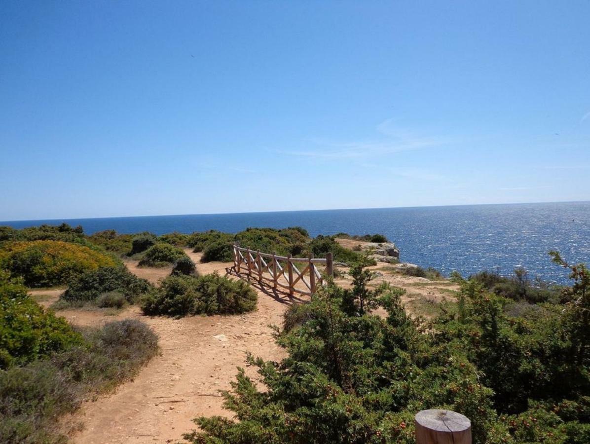 Apartment Ocean Terraces Gaivota I