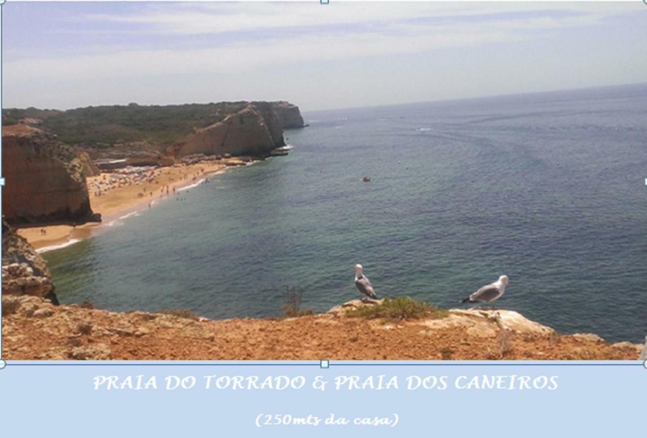 Apartment Ocean Terraces Gaivota I