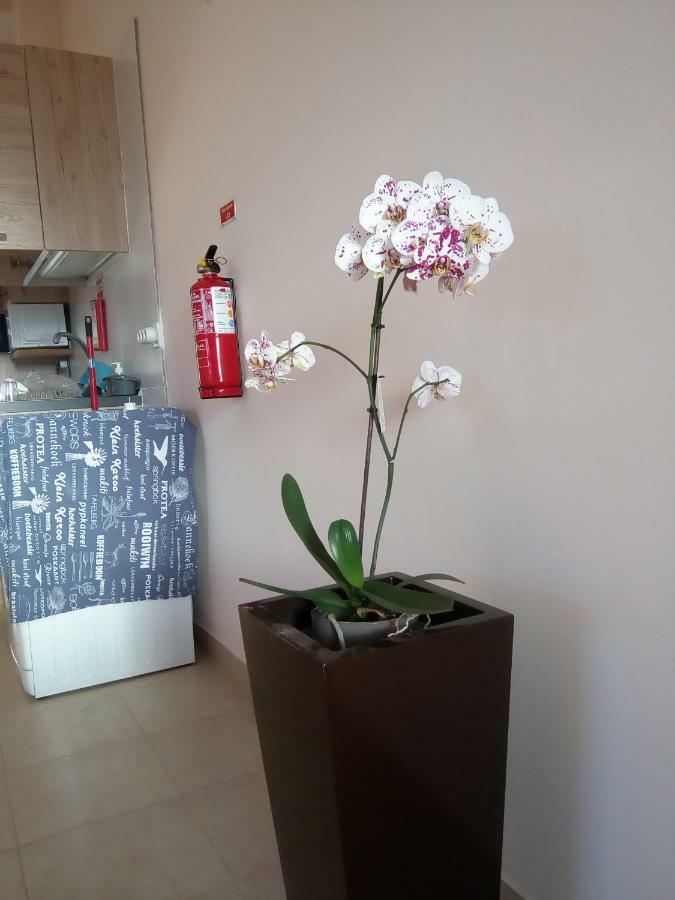 Casa Mao-cheia