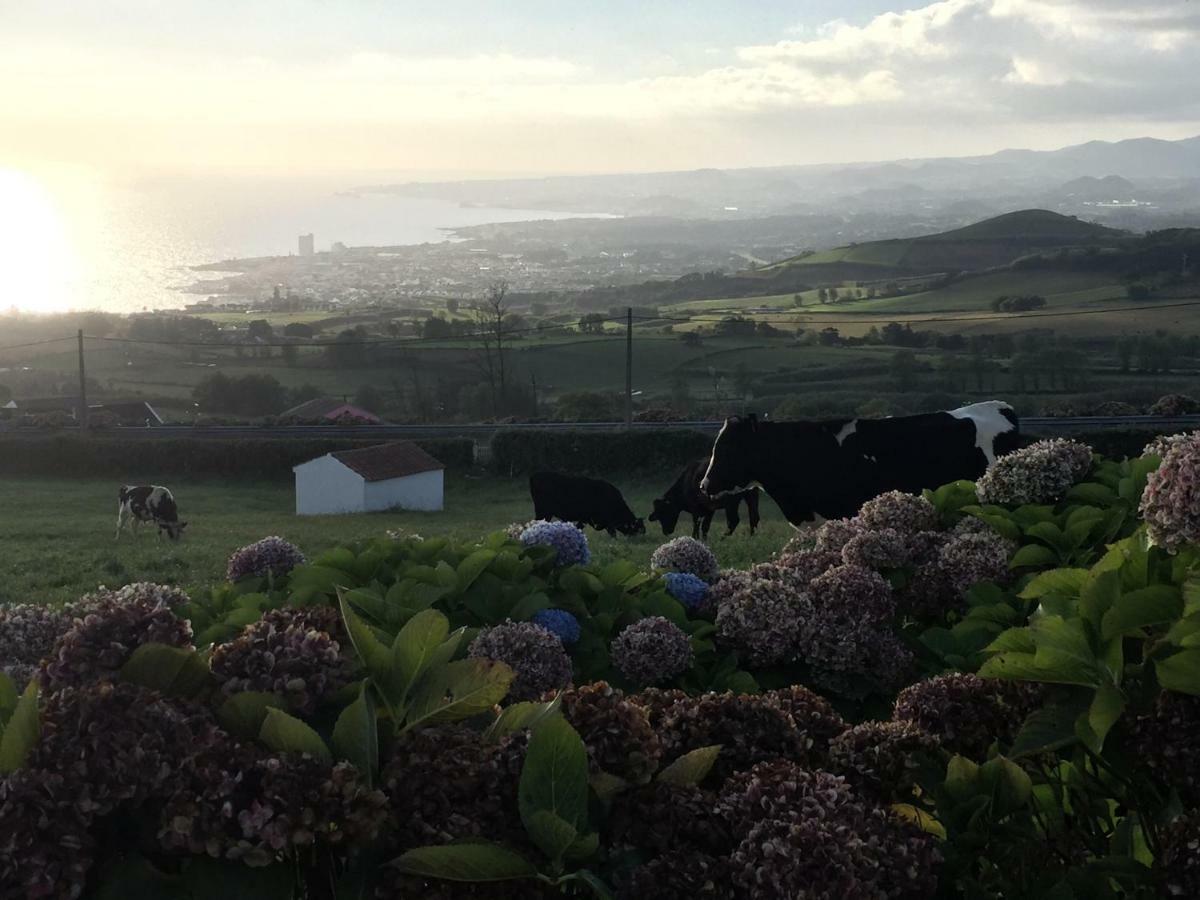 Flor Do Monte * Lagoa (Azores)