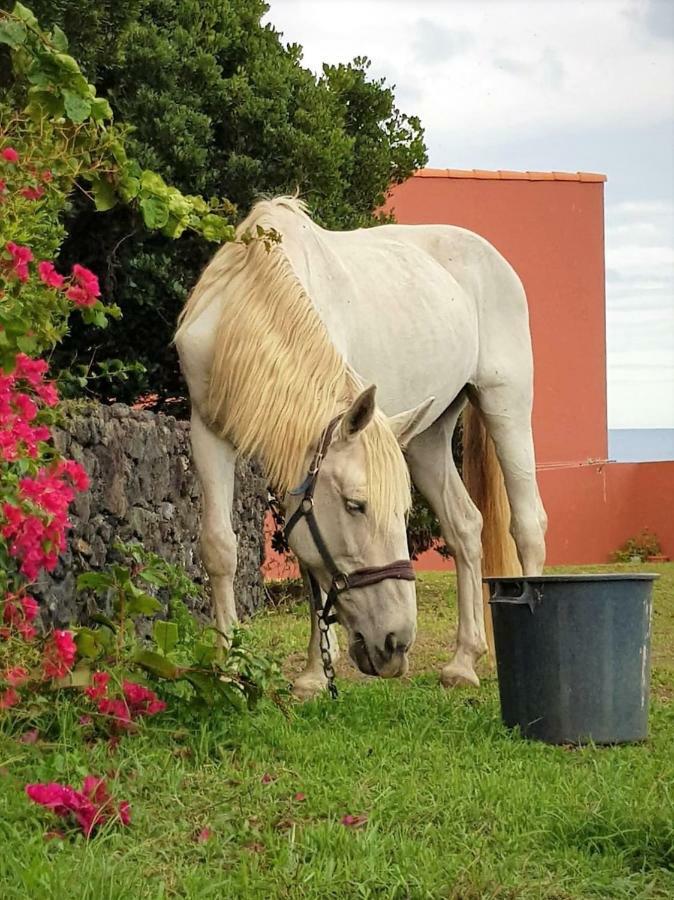 Quinta Da Falesia - Casa Amarela Holiday home *
