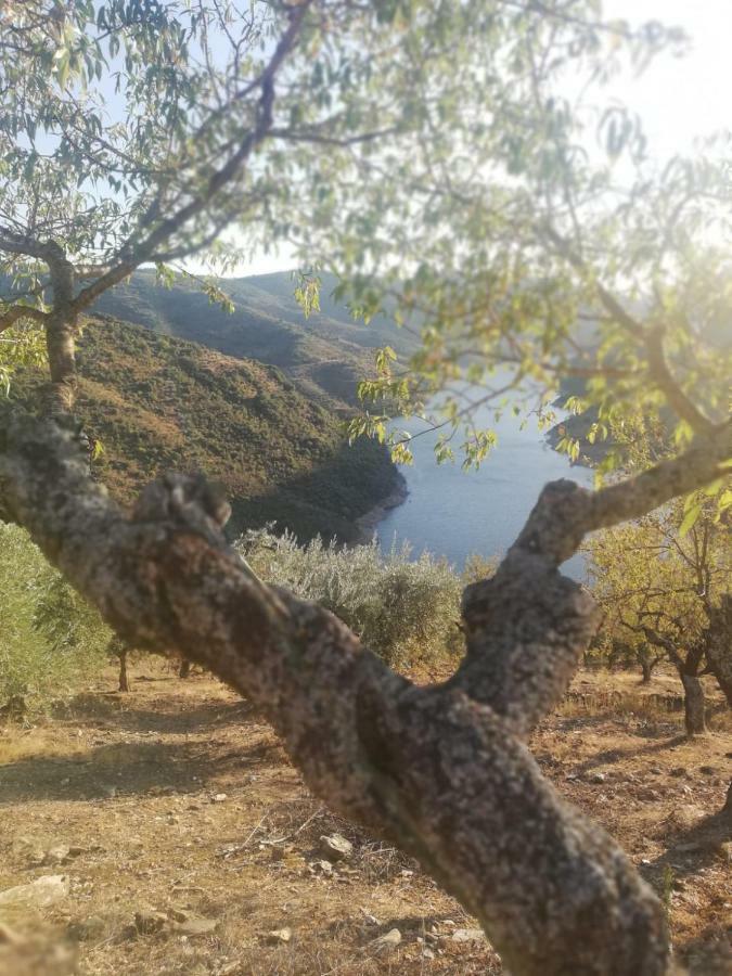 Casa De Xisto Farm stay *