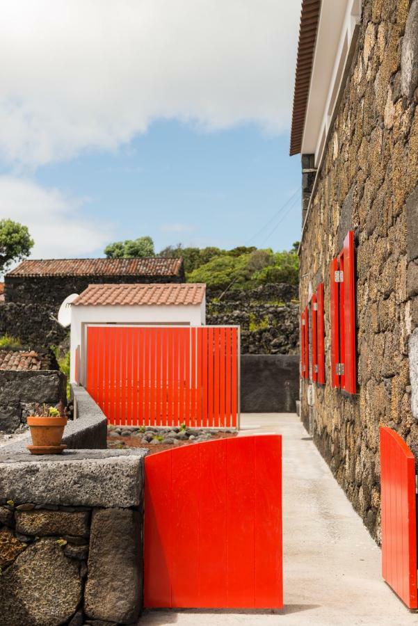 Ilheu Do Areeiro Madalena (Azores)