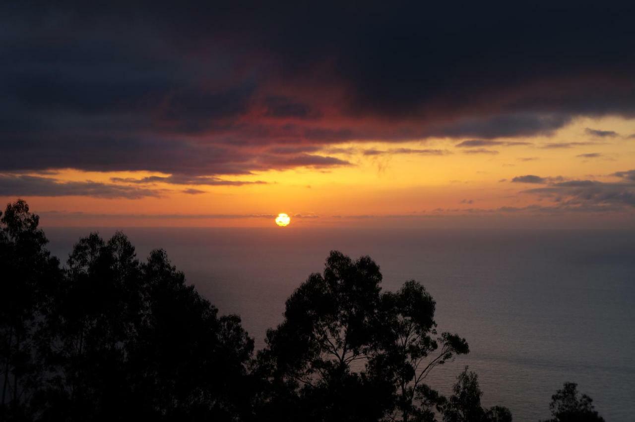 Casa Proteas Sao Jorge (Madeira)