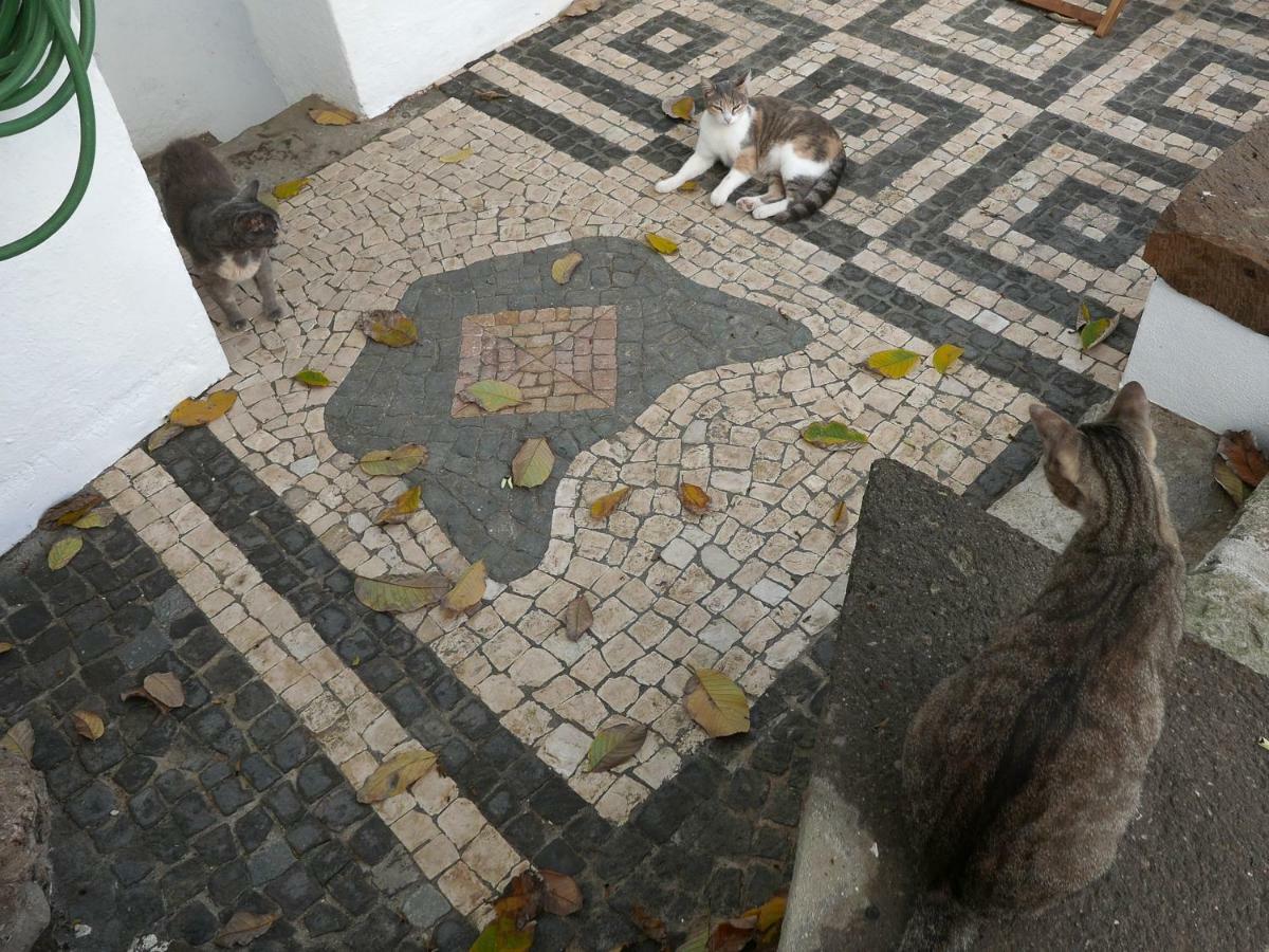 Guest house Casadangra, Angra do Heroismo