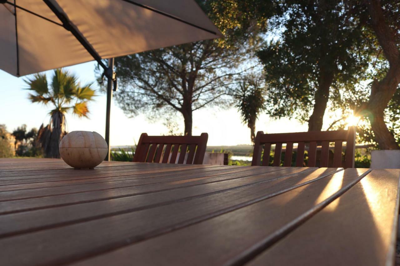 Jardim & Ria Holiday home *
