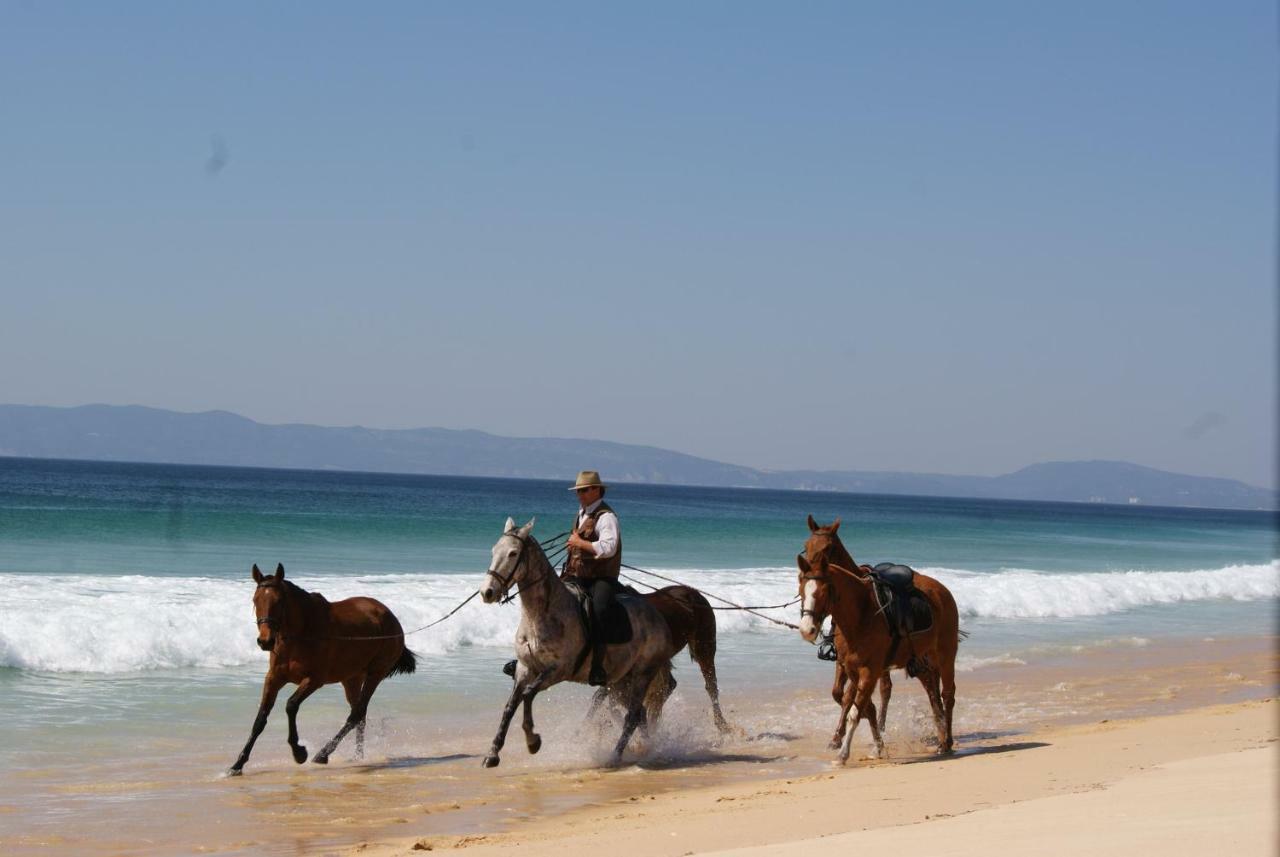 Sequoia - And Private Holidays Vakantiehuis Troia