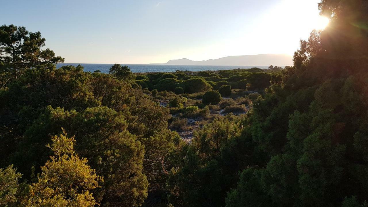 Sequoia - Beach&lake Private Holidays * Tróia
