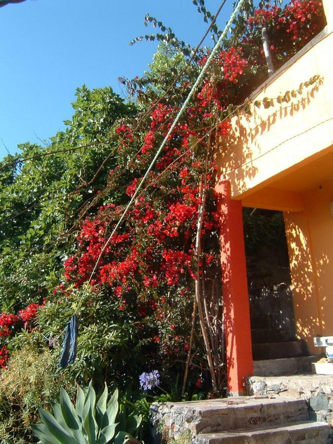 Madeira-meerblick-haus *
