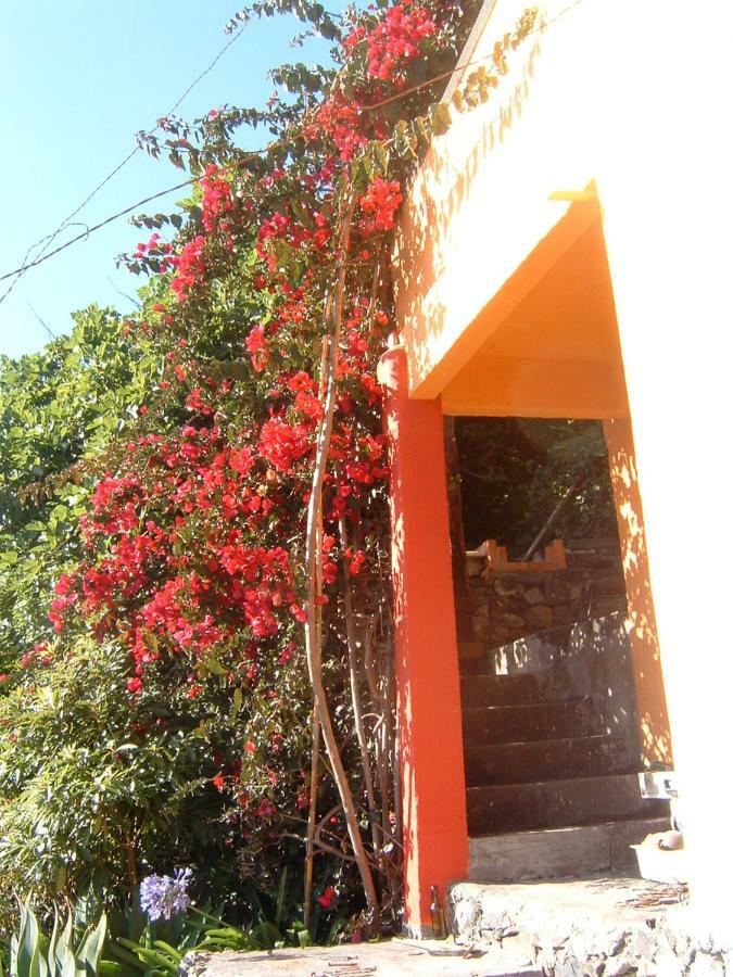 Madeira-meerblick-haus Holiday home