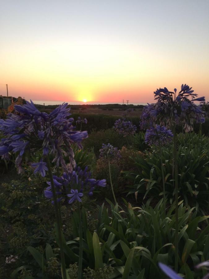 Farm stay Herdade Do Pessegueiro