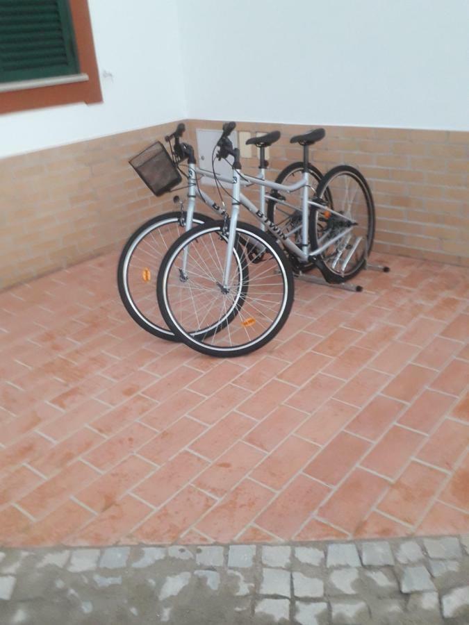 Guest house Local Patudos, Com Terraco Privado Tavira