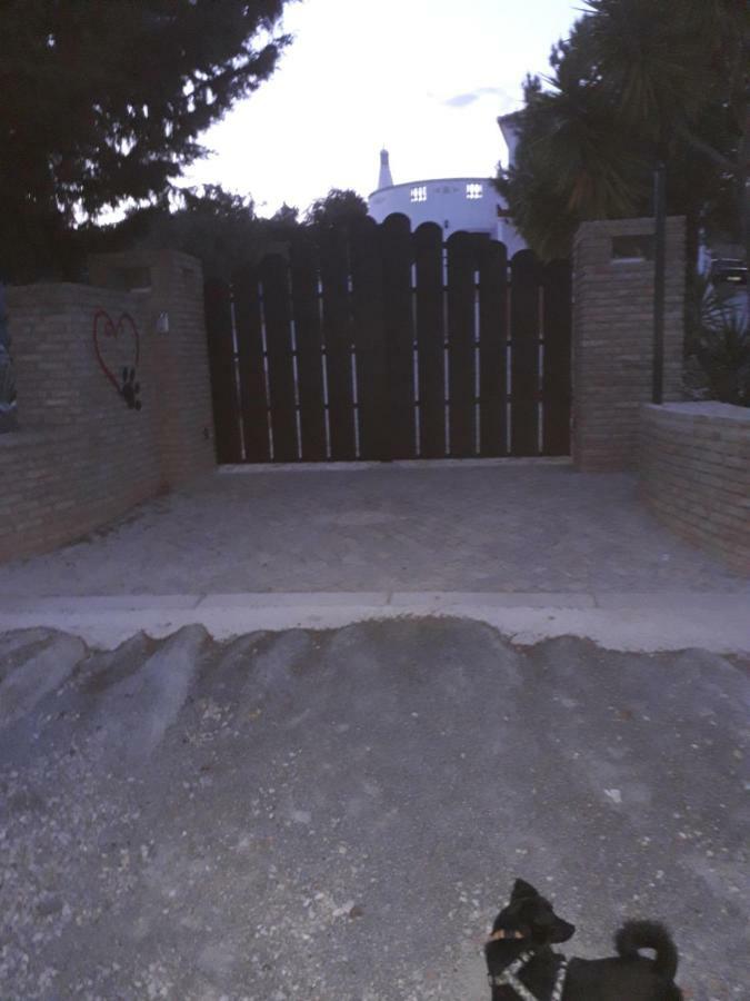 Guest house Local Patudos, Com Terraco Privado