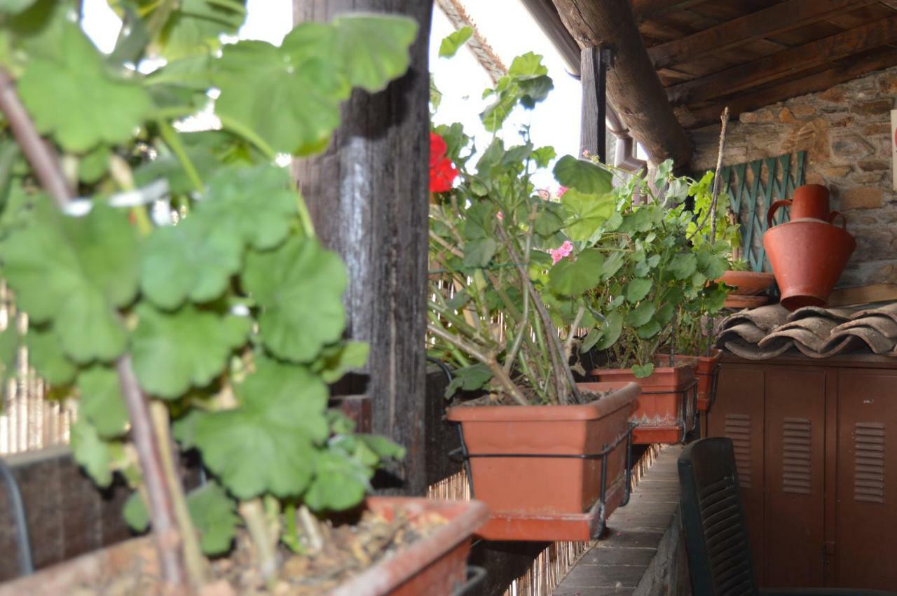 Apimonte Casa Do Pascoal - Pn Montesinho Holiday home