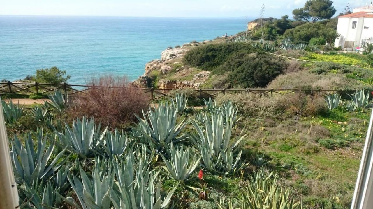 Rui Appartement Carvoeiro (Lagoa)