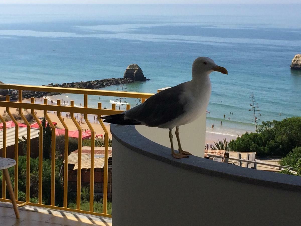 Algarve's Sea View