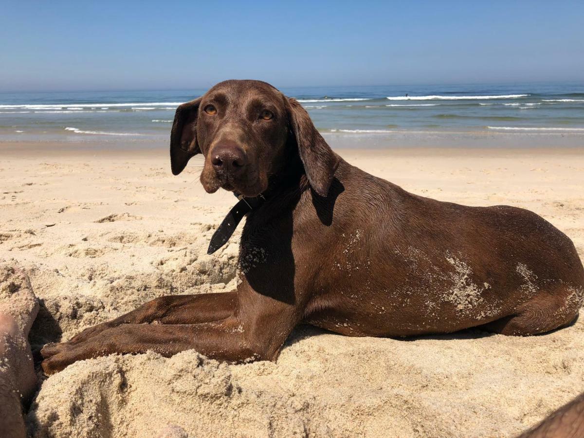 Beachliving