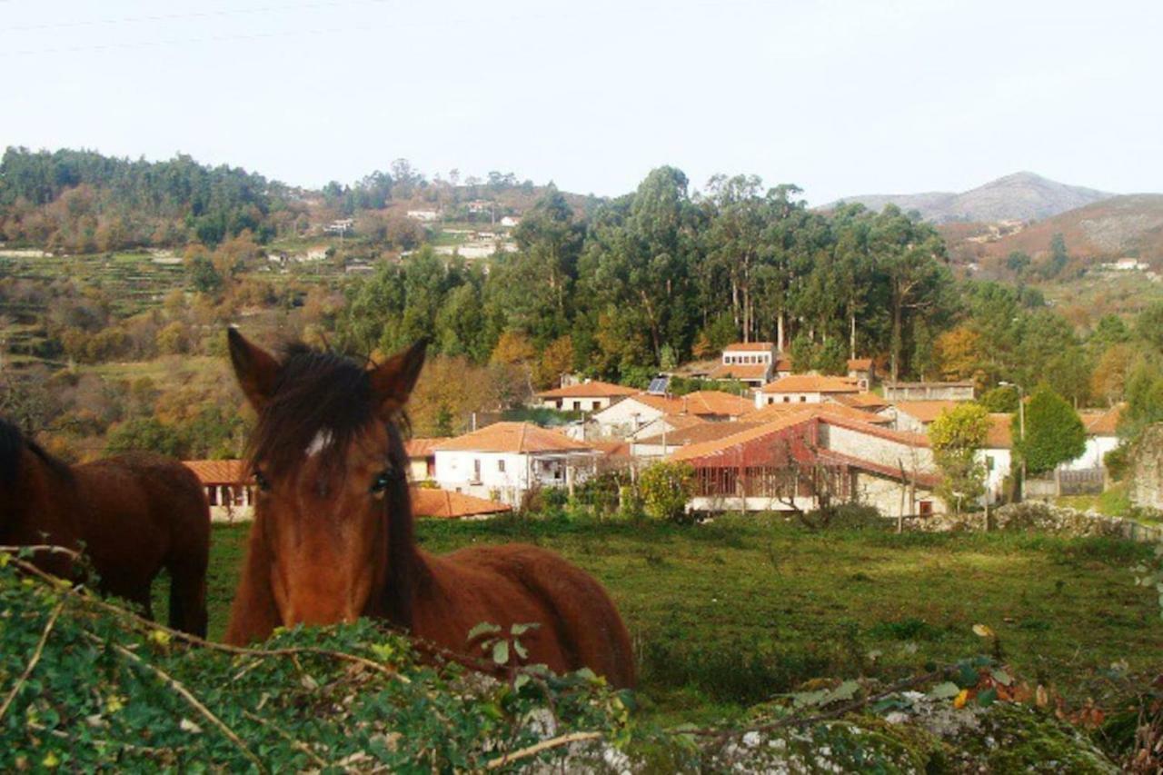 Casa De Sá - A Natureza No Gerês Сasa de vacaciones