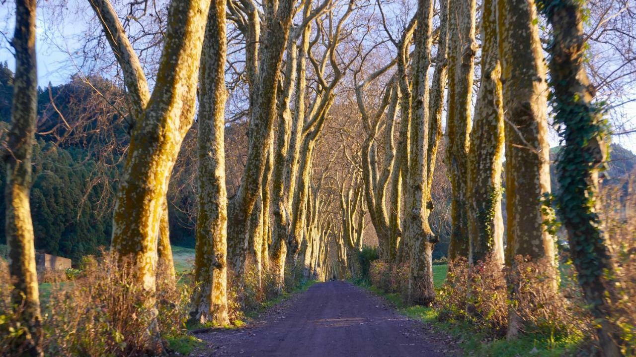 Quinta Da Espadana Сasa de vacaciones Povoacao (Sao Miguel)