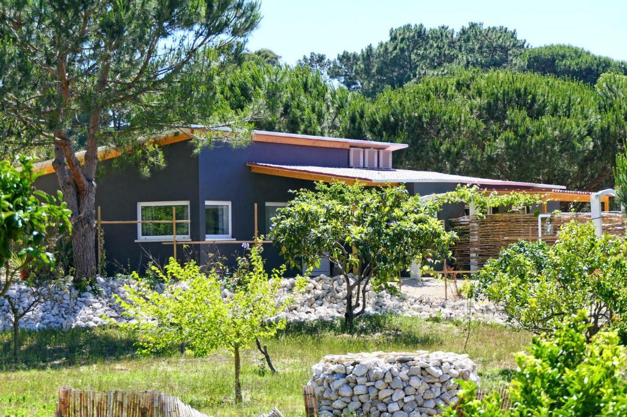 Country house Quinta Do Meco - & Nature