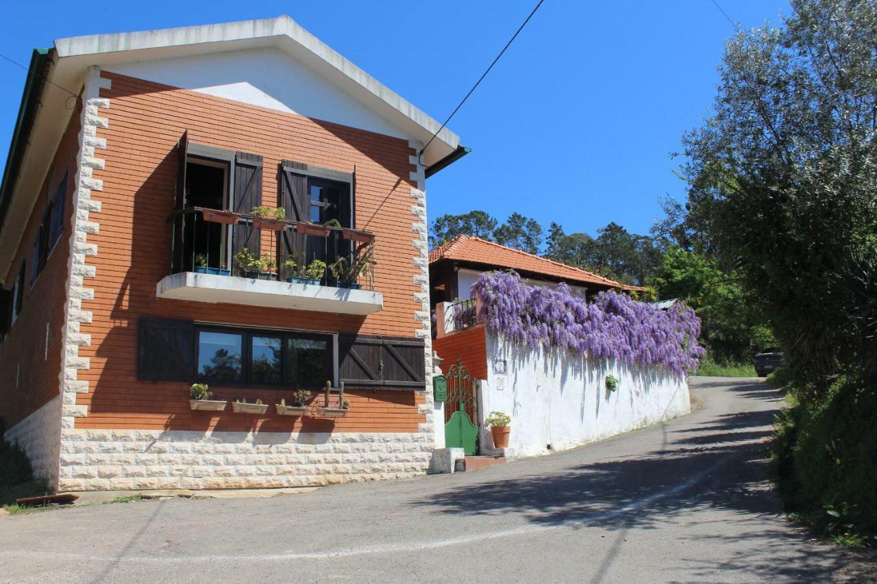 Casa Da Avo - Vale Da Silva Accommodatie bij particulieren Albergaria-a-Velha