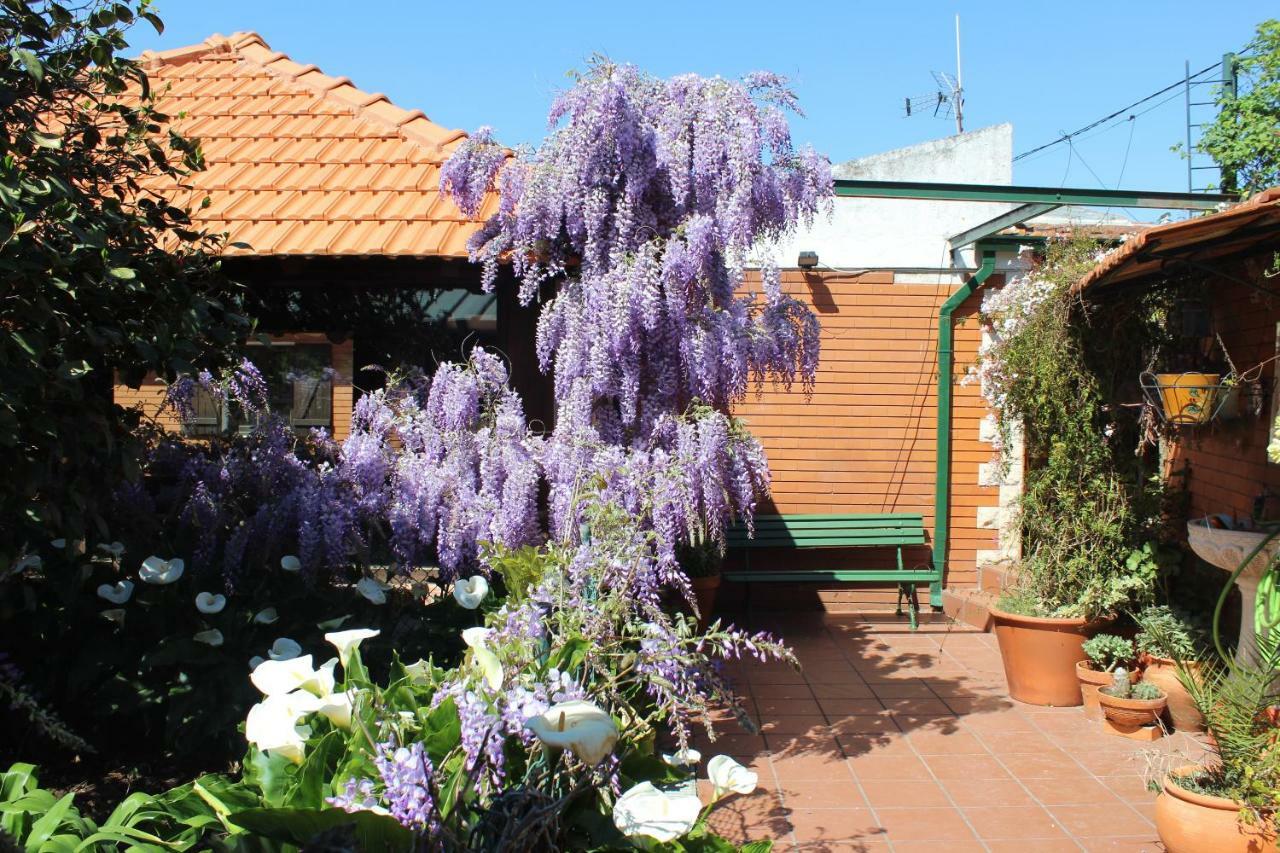 Casa Da Avo - Vale Da Silva Accommodatie bij particulieren