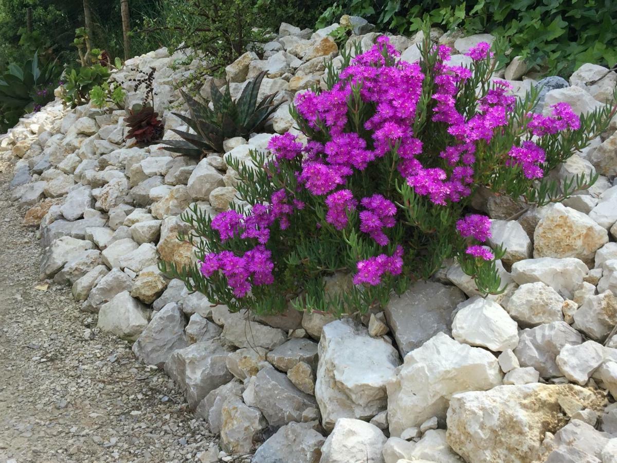 Country house Quinta Do Meco - & Nature *