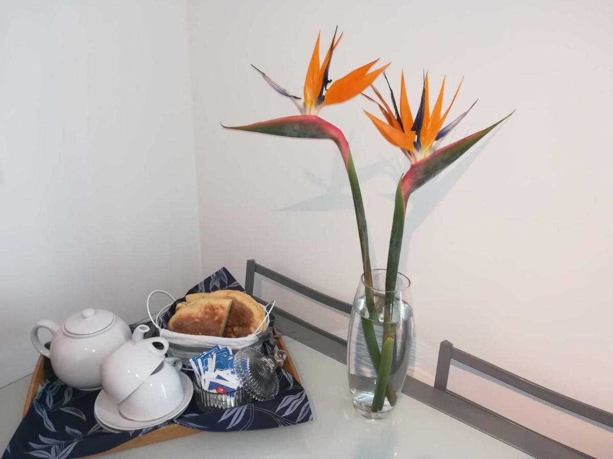 Casa Neptuno Holiday home Rabo de Peixe