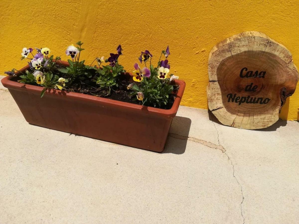 Casa Neptuno *