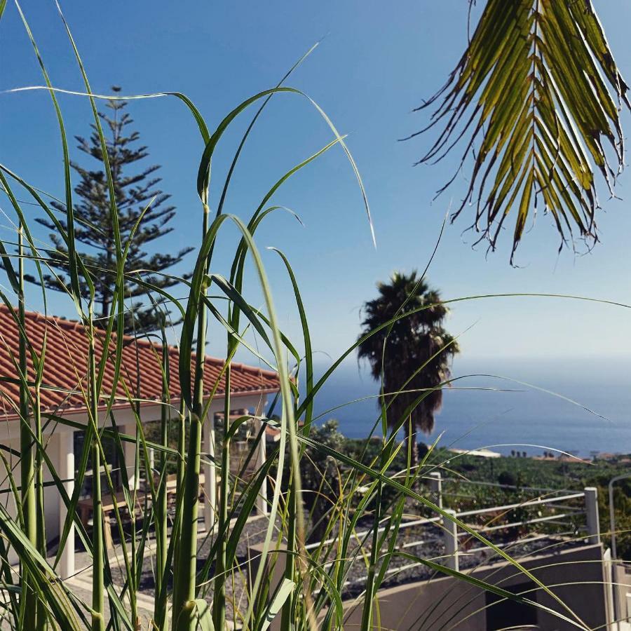 Calheta Boutique Casa de férias