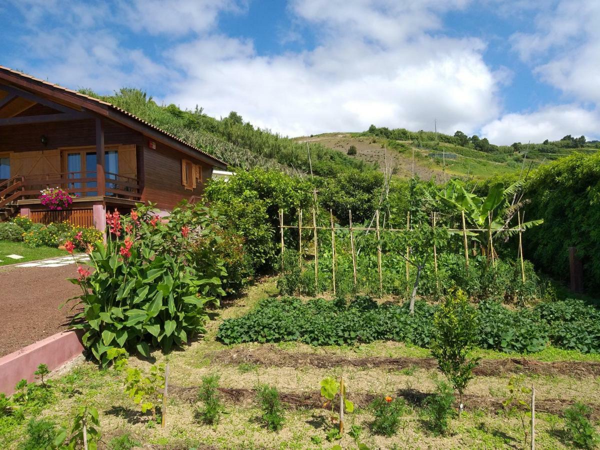 Quinta Da Pavoa - House Holiday home