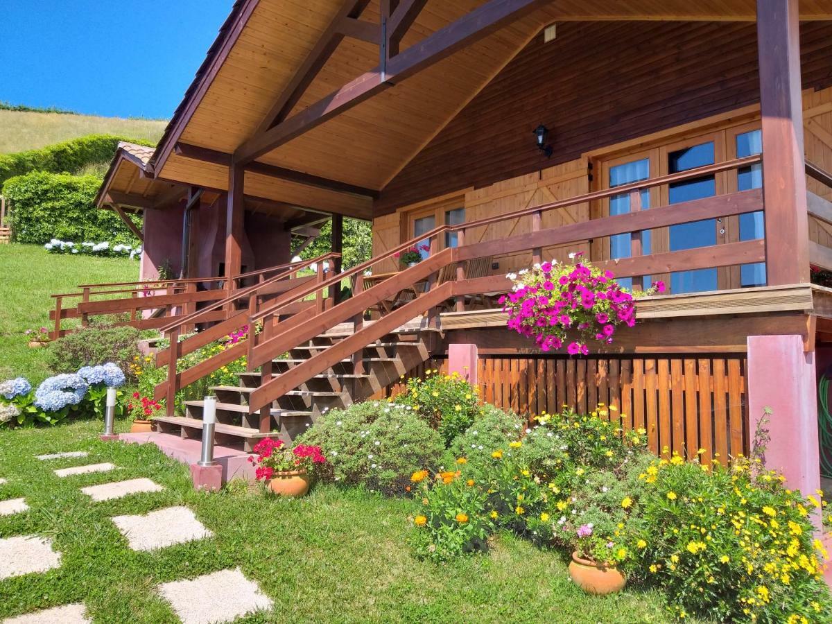Holiday home Quinta Da Pavoa - House Vila Franca do Campo